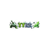yyrrappscom1